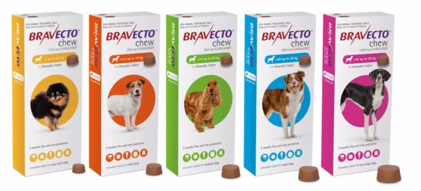 Bravecto Chewable Tablet Flea Treatment