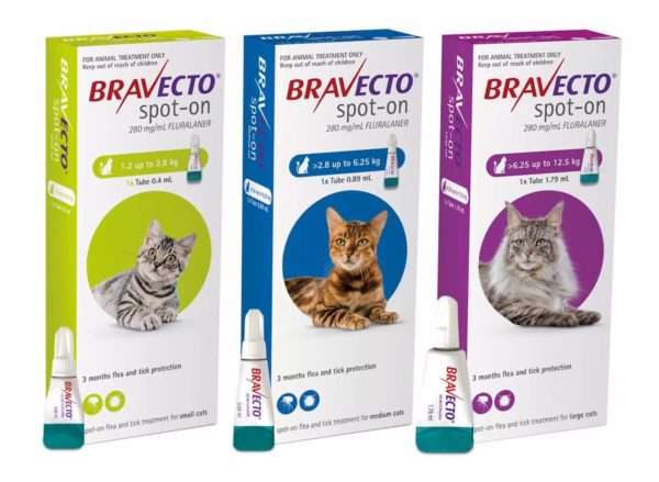 Bravecto Spot On Flea Treatment For Cats