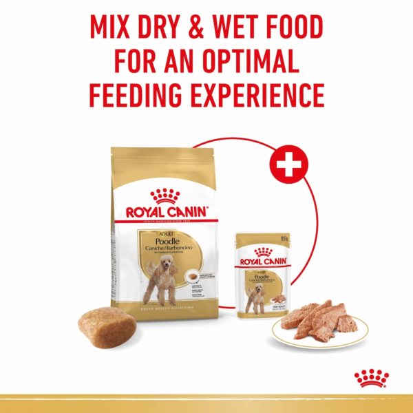 Royal Canin Breed Poodle - Image 3