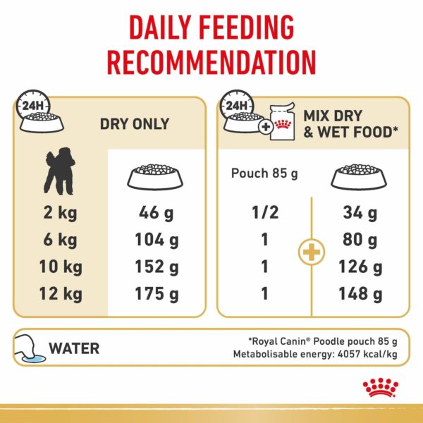 Royal Canin Breed Poodle - Image 4