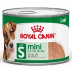 ROYAL CANIN Mini Adult Loaf Dog Food Can (12x195g)