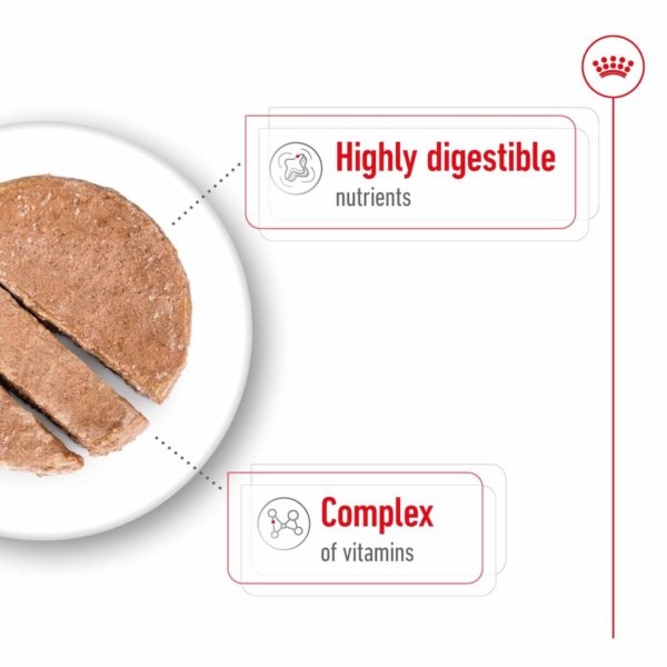 ROYAL CANIN Mini Adult Loaf Dog Food Can (12x195g) - Image 5