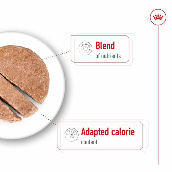 Royal Canin Mini Ageing (12 x 195g) - Image 5