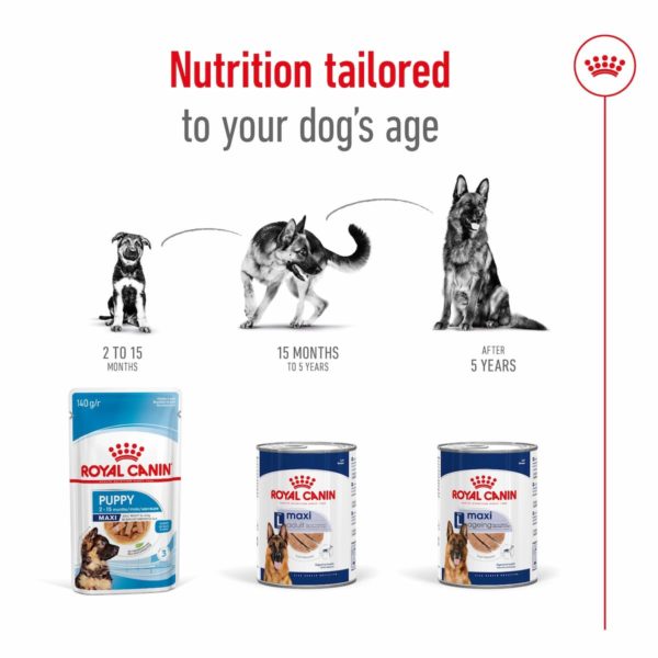 Royal Canin Veterinary Canine Maxi Adult (10 x 410g) - Image 4