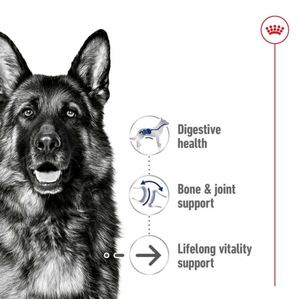 Royal Canin Veterinary Canine Maxi Adult (10 x 410g) - Image 2
