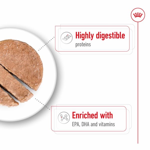 Royal Canin Veterinary Canine Maxi Adult (10 x 410g) - Image 3